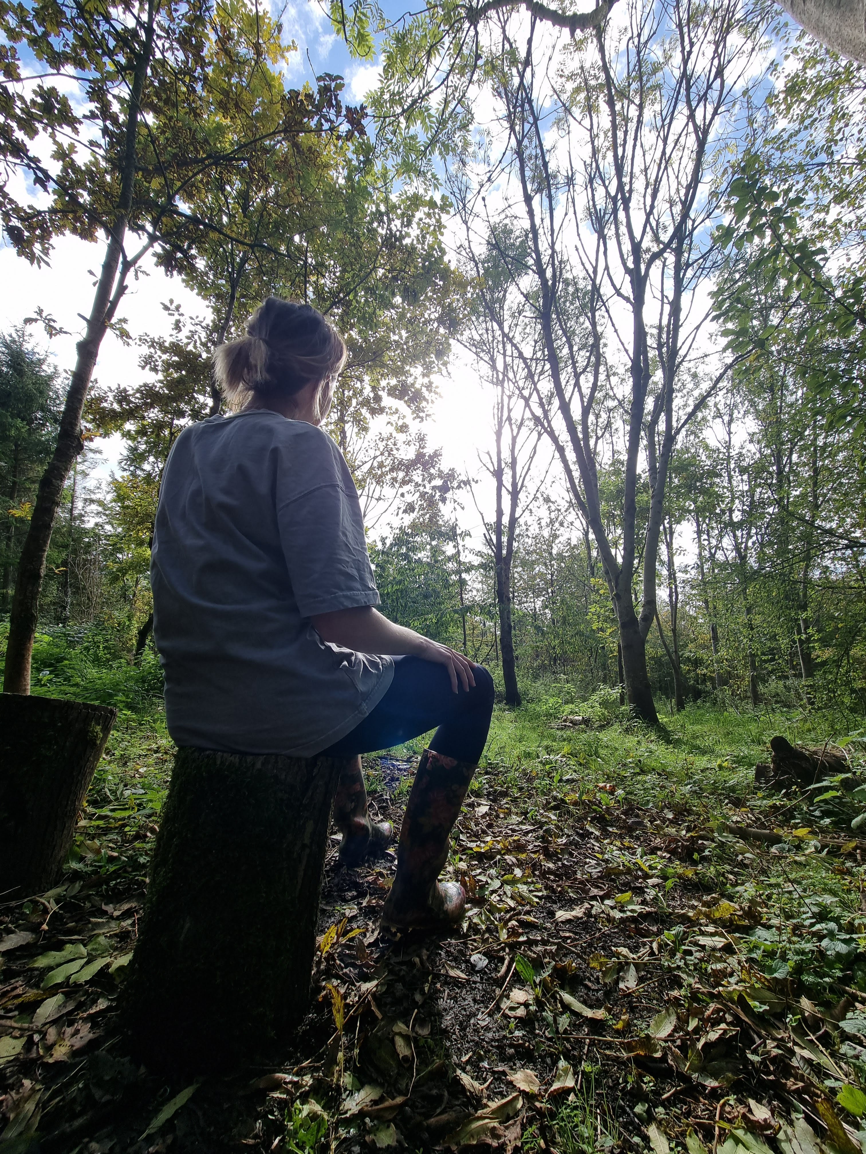 Woman sat on tree trunk in woodland forest looking towards the sky